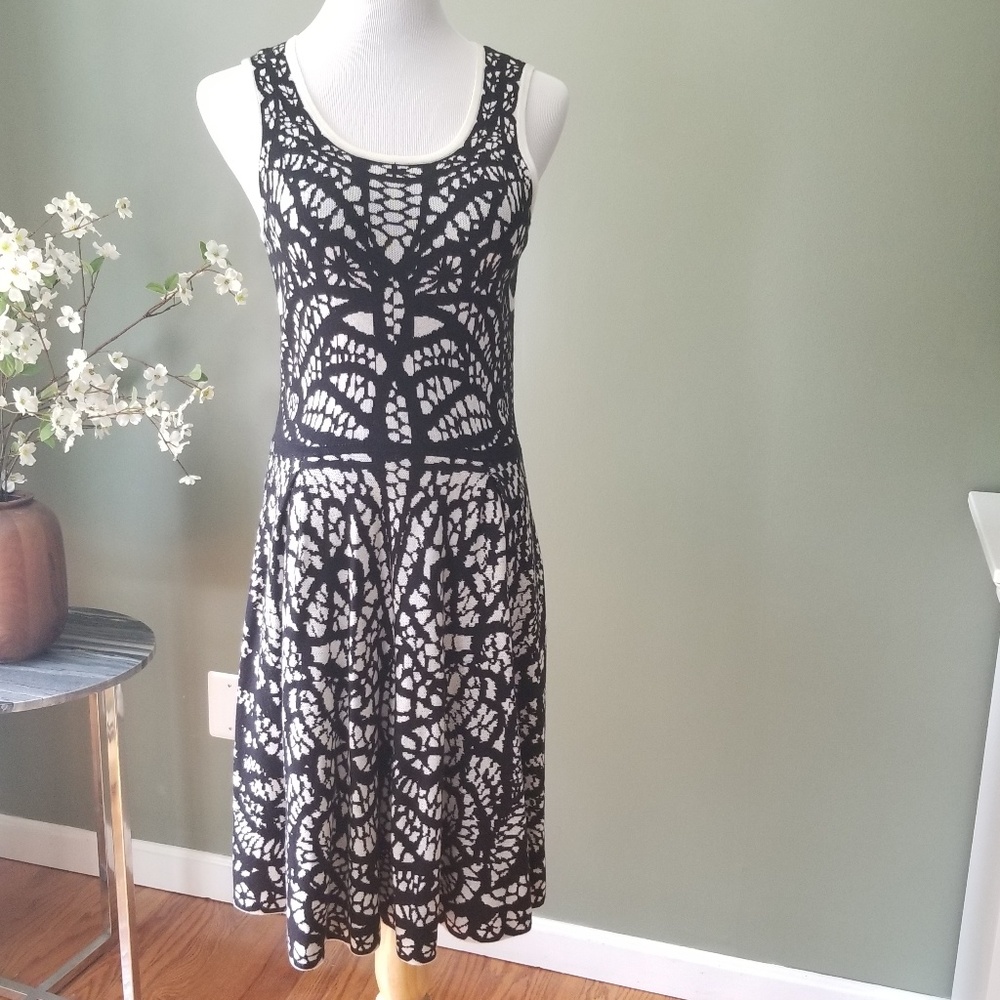 Ann Taylor black white knit dress